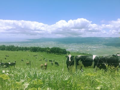 城岱牧場